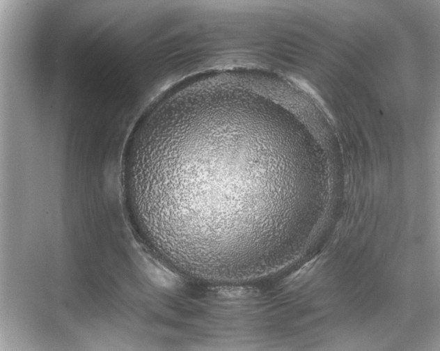 X0000070410439200606121334