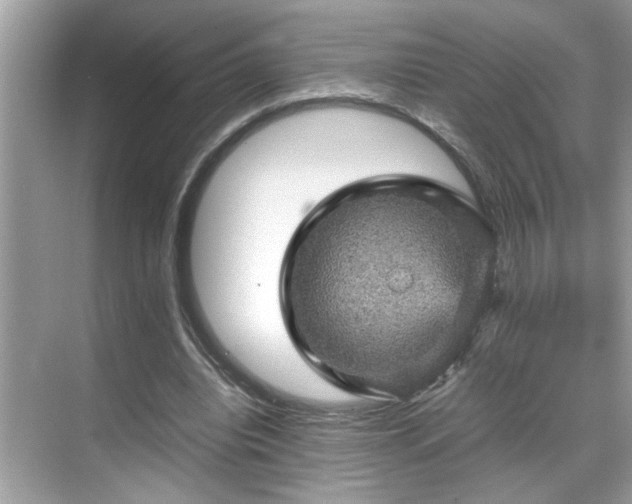 X0000070410440200606121334