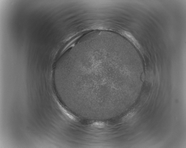 X0000070410441200606121334