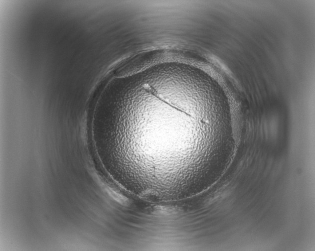 X0000070410442200606121334