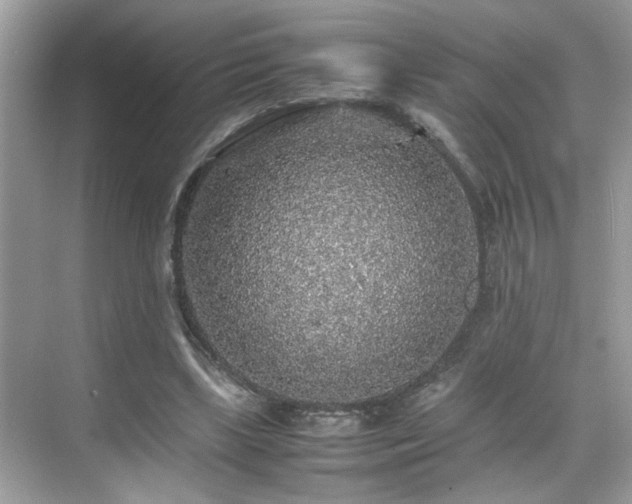 X0000070410443200606121334