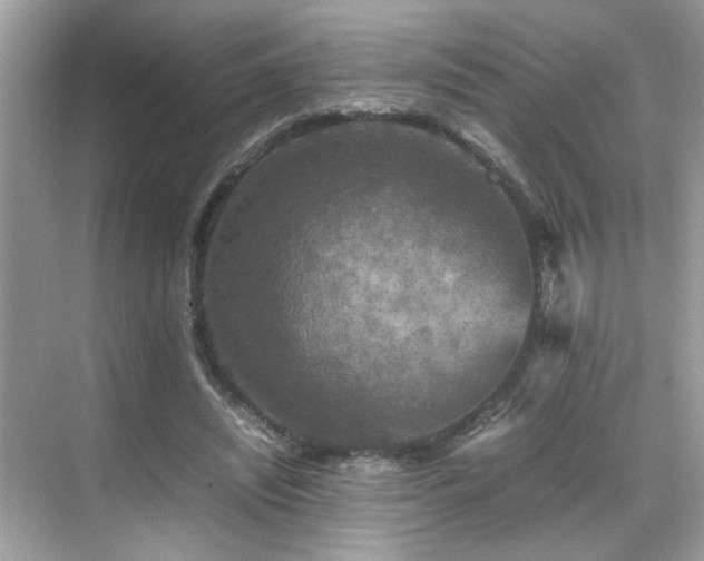 X0000070410444200606121334