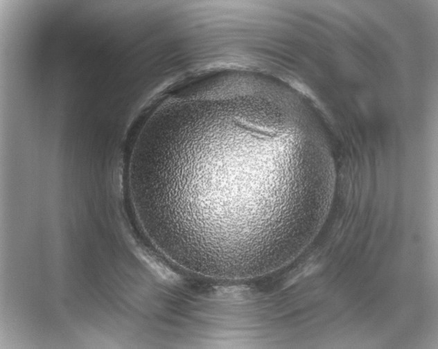 X0000070410446200606121334