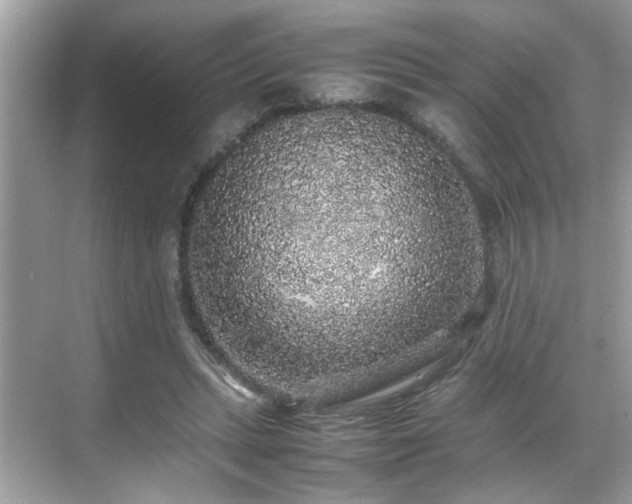 X0000070410447200606121334