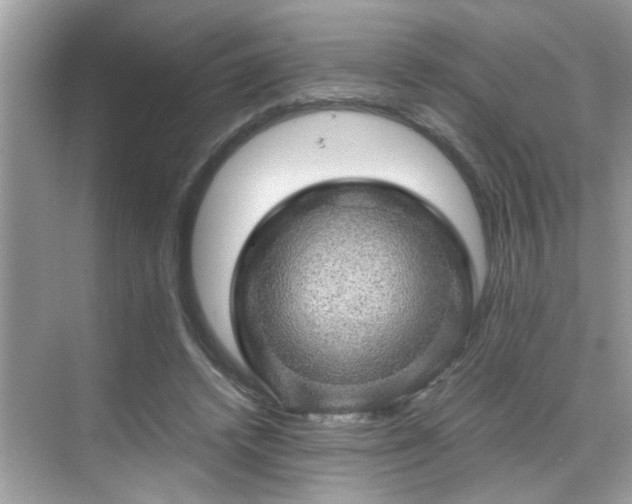 X0000070410448200606121334