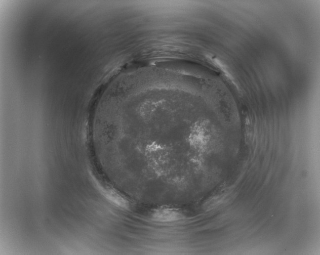 X0000070410451200606121334