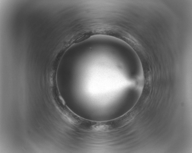 X0000070410452200606121334