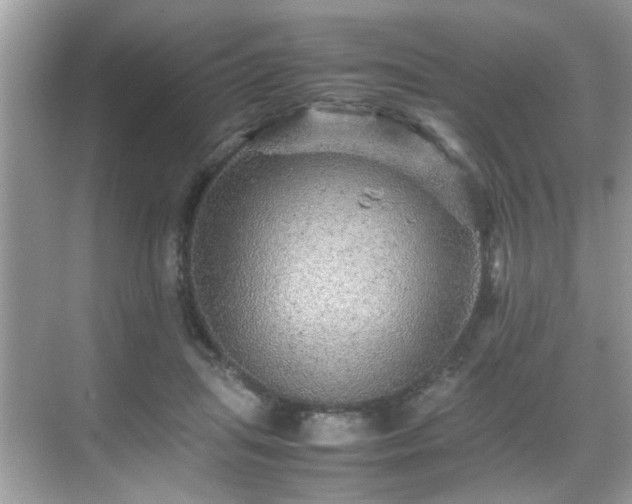 X0000070410455200606121334