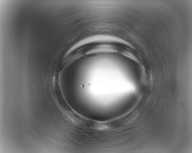 X0000070410456200606121334