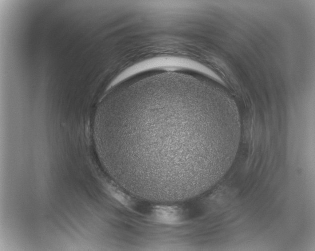 X0000070410457200606121334