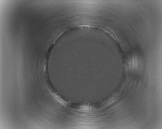 X0000070410458200606121334