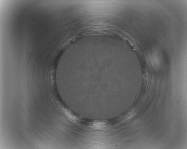 X0000070410462200606121334