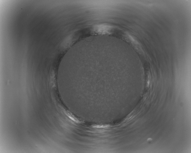 X0000070410465200606121334