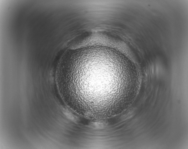 X0000070410466200606121334