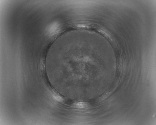 X0000070410467200606121334