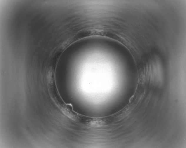 X0000070410468200606121334