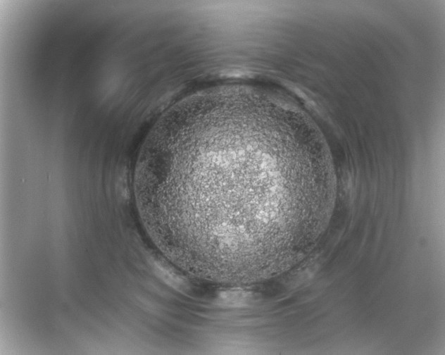 X0000070410470200606121334