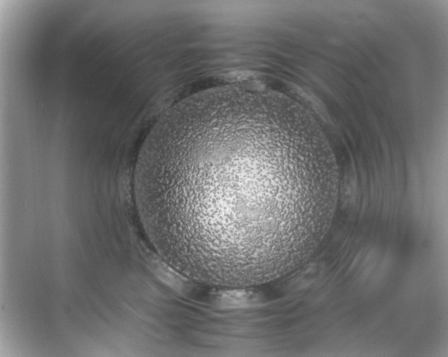 X0000070410473200606121334