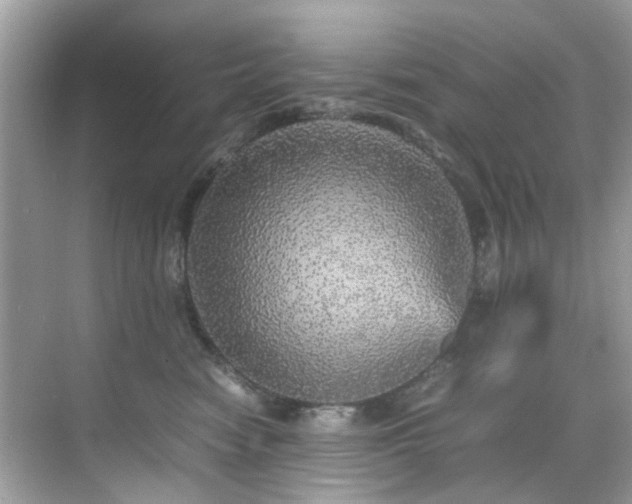 X0000070410474200606121334