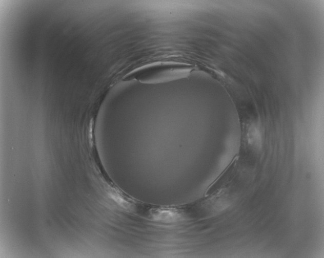 X0000070410475200606121334