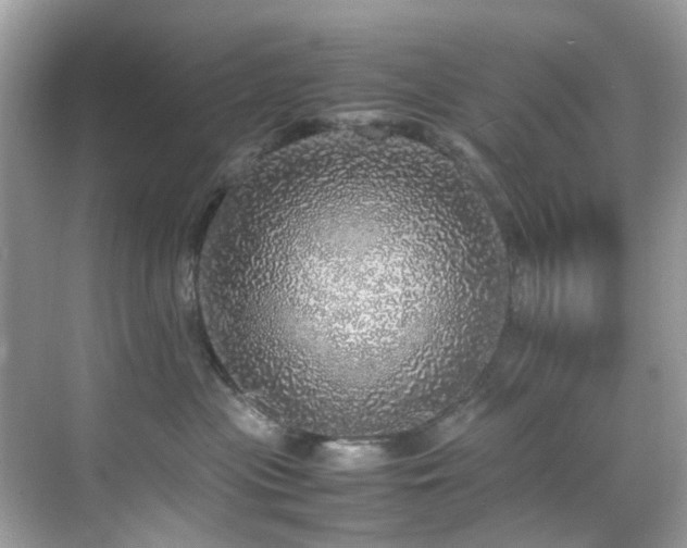 X0000070410477200606121334