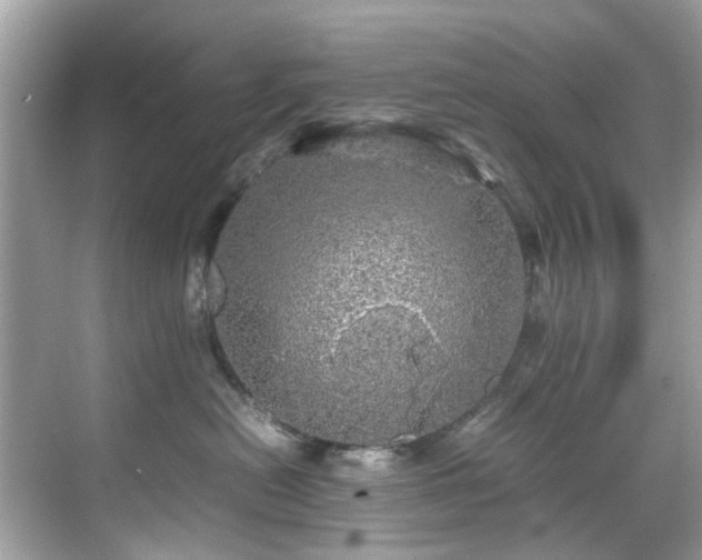 X0000070410478200606121334