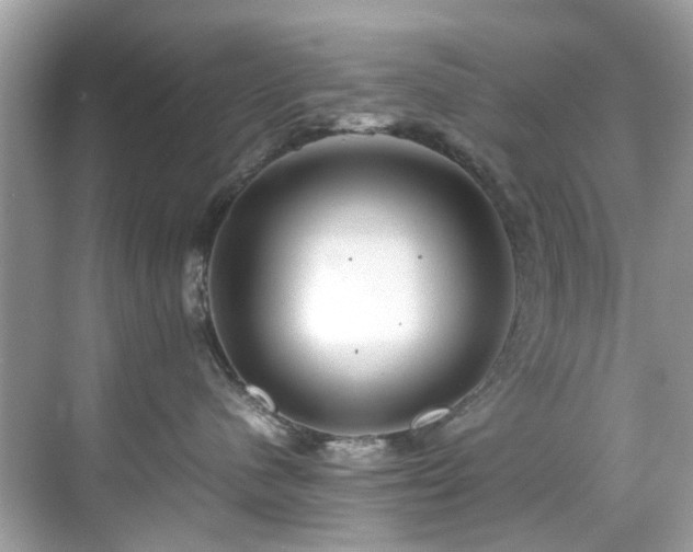 X0000070410480200606121334