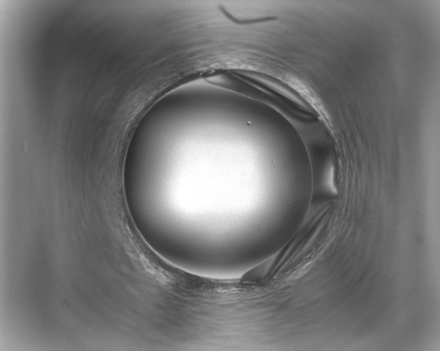 X0000070410481200606121334