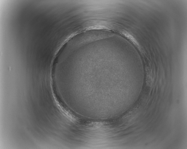 X0000070410482200606121334