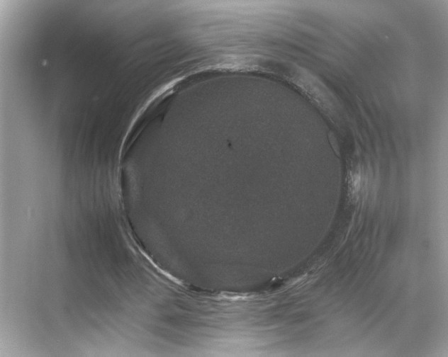 X0000070410484200606121334