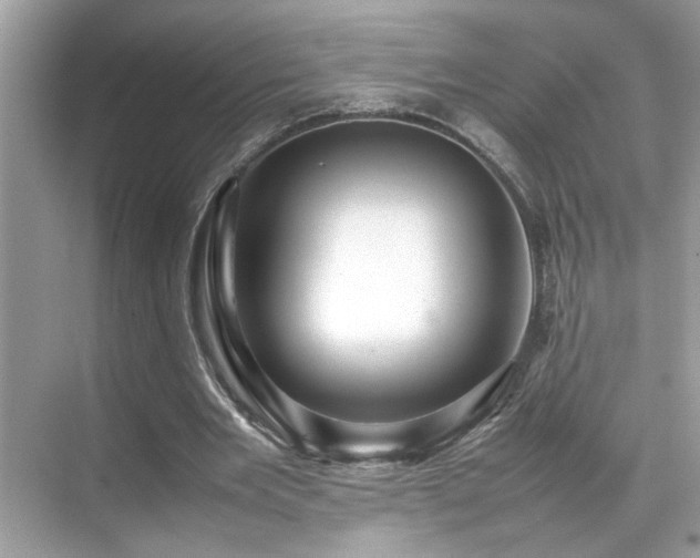 X0000070410485200606121334