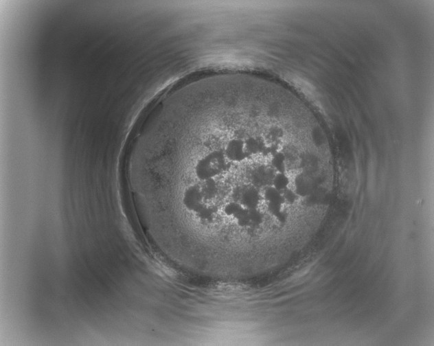 X0000070410487200606121334