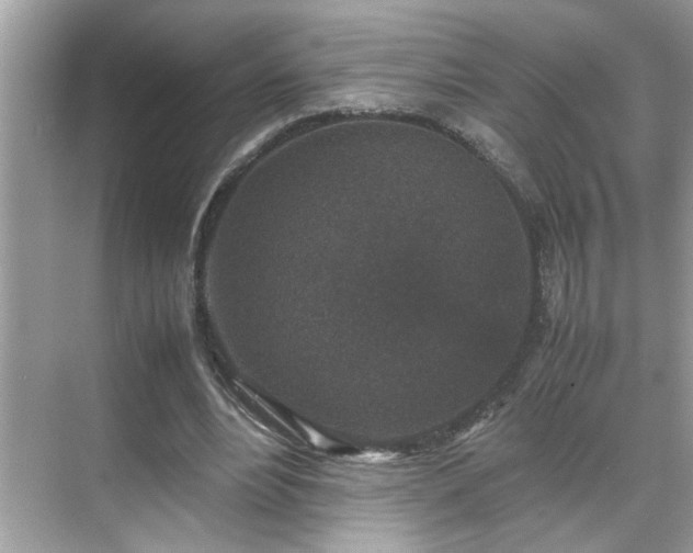 X0000070410488200606121334