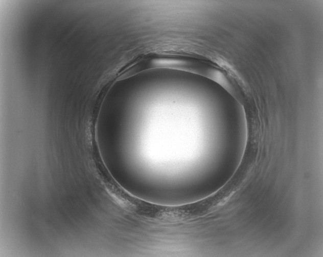 X0000070410489200606121334