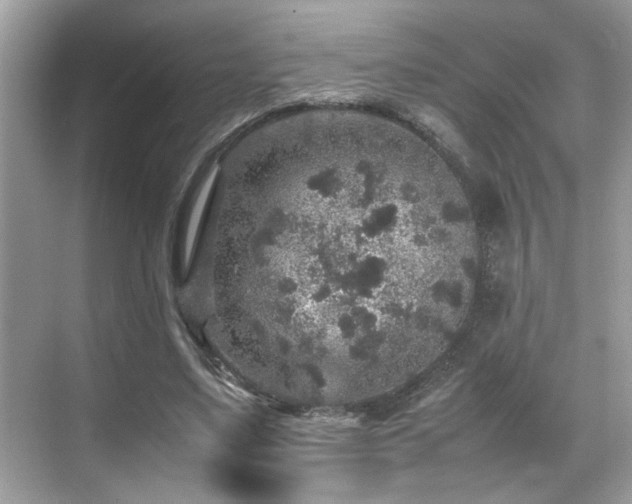 X0000070410491200606121333