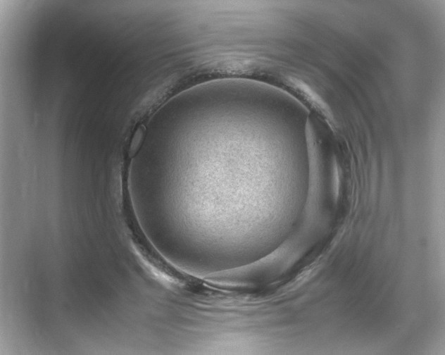 X0000070410493200606121333