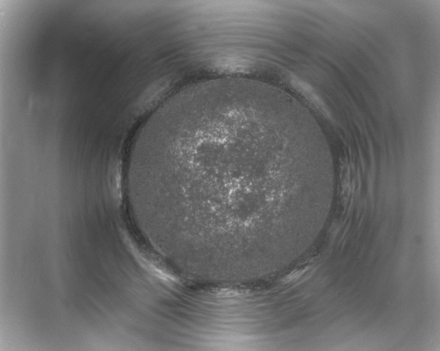 X0000070410494200606121333