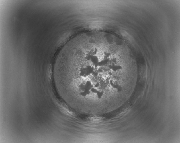 X0000070410495200606121333