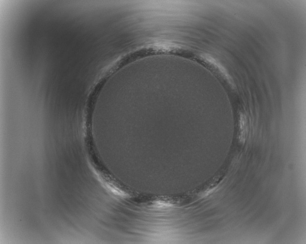 X0000070410496200606121333