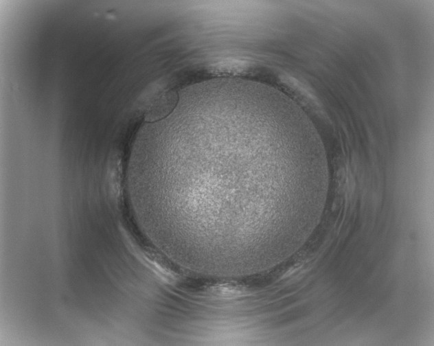 X0000070410498200606121333