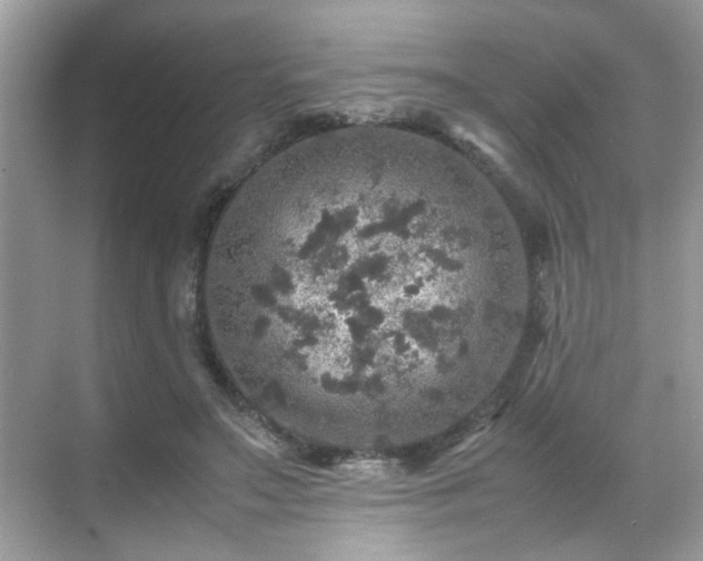 X0000070410499200606121333