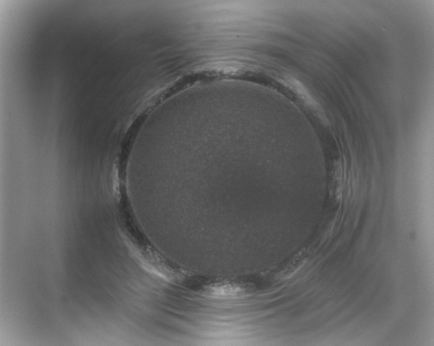 X0000070410500200606121333