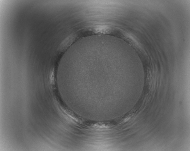 X0000070410502200606121333