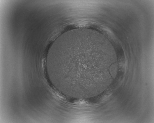 X0000070410503200606121333