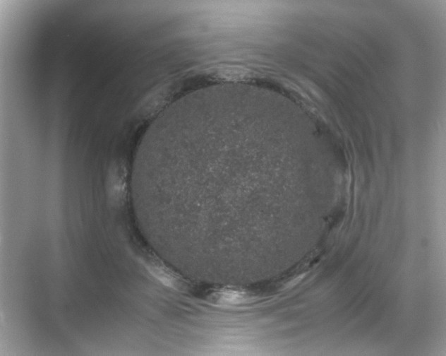 X0000070410507200606121333