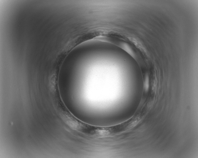 X0000070410509200606121333