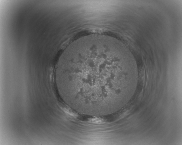 X0000070410511200606121333