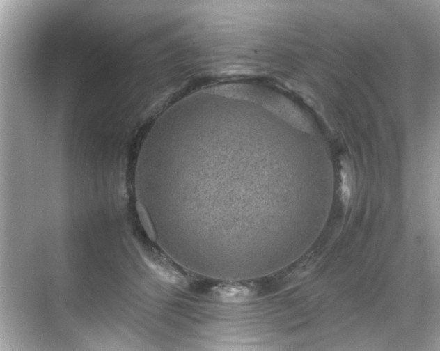 X0000070410512200606121333