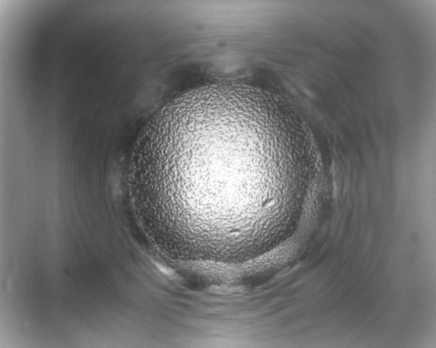 X0000070410515200606121333