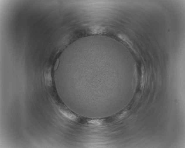 X0000070410516200606121333